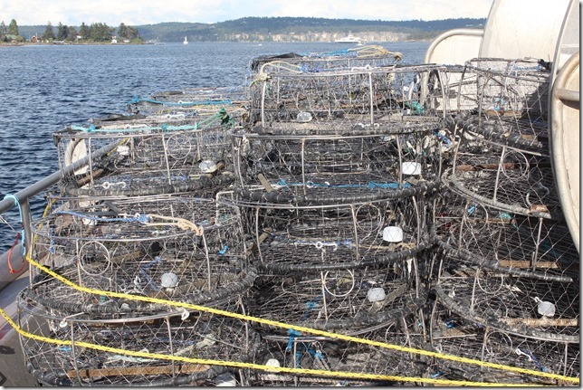 Nanaimo,Fisheries and Oceans,floats,nets,ocean