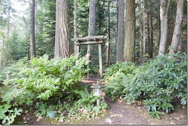 Mayne Island,Gulf Island,plants,nature,summer,Gulf Islands,Dinner Bay Park,Mayne Island,Gulf Islands,British Columbia,Japanese Garden,water,pond,summer,peaceful,water garden