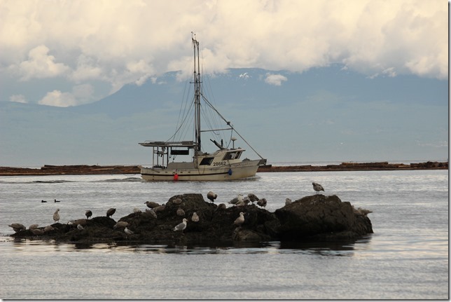 Pipers Lagoon,Nanaimo,nature,history,Georgia Strait,ocean,beach,fish boat,log boom,tug boat