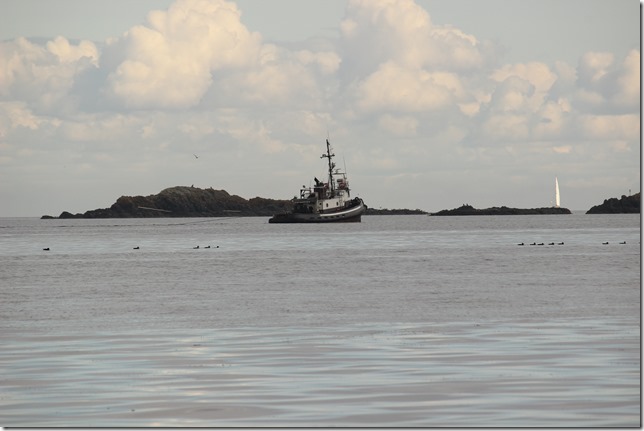 Pipers Lagoon,Nanaimo,nature,history,Georgia Strait,ocean,beach,fish boat,log boom,tug boat