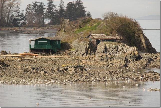 Shack Island,Nanaimo,nature,history,Georgia Strait,ocean,beach,Pipers Lagoon Shack Island,Nanaimo,nature,history,Georgia Strait,ocean,beach,Pipers Lagoon