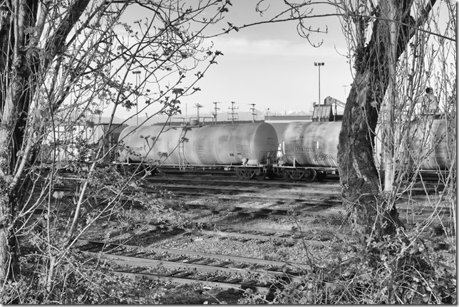 Nanaimo,spring,history,rail,trains,Wellcox Yard,E&N