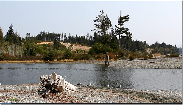 waves,Muir Creek,birds,gulls,sea gulls,Orveas Bay,ocean,Juan de Fuca Strait,summer,Highway 14,beach,nature,British Columbia