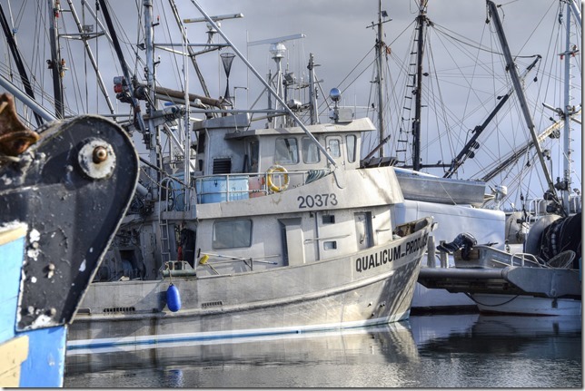 Comox,marina,fish boat,spring,Qualicum Producer