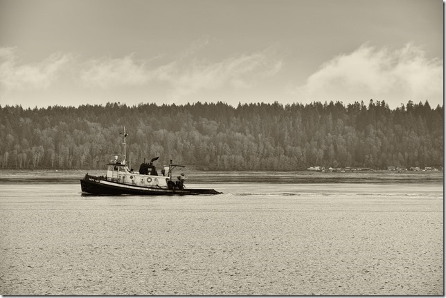 tugs,Discovery Passage,Quadra,Georgia Strait,ships,ocean,Pacific Fury