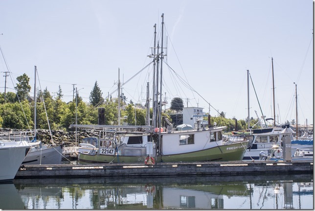 Powell River,Westview,marina,fish boat,spring,Fresh Catch