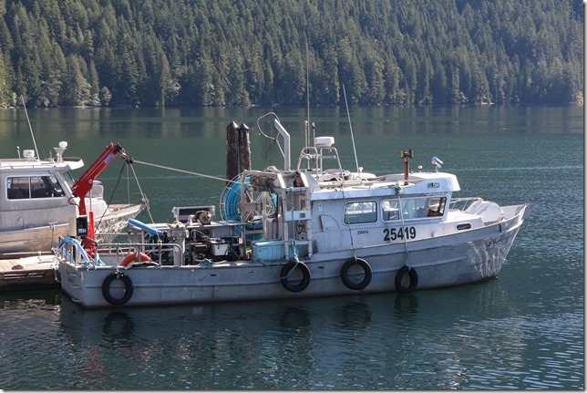 Gold River,Highway 28,history,North Island,fish boat,fish farm,aquaculture