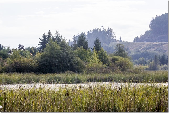 Buttertubs Marsh,Nanaimo,fall,marsh,nature,Vancouver Island