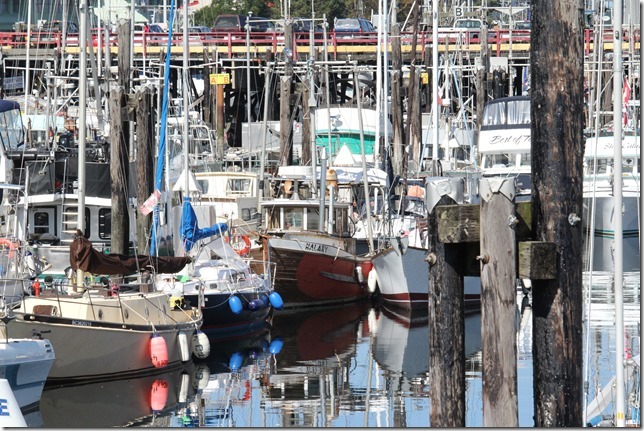 Campbell River,Discovery Fishing Pier,Discovery Pass,fish boat,summer