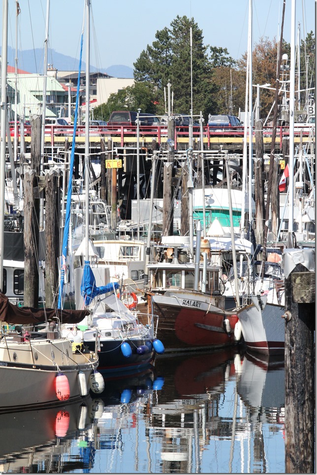 Campbell River,Discovery Fishing Pier,Discovery Pass,fish boat,summer