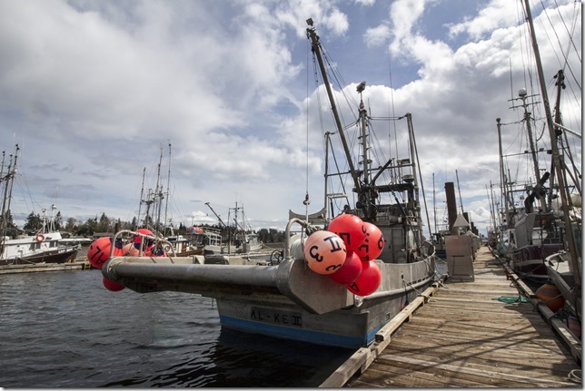 Comox,fisherman's wharf,marina,fish boat,spring,Al-Ke II 