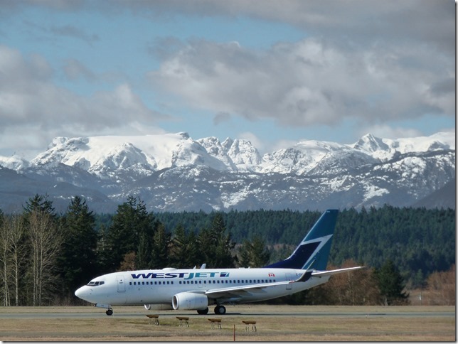 CFB Comox,Vancouver Island,Boeing 737-7CT,YQQ,Comox Airport,air planes,19 Wing Comox,mountains,Comox Glacier,Westjet