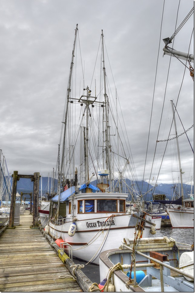 Deep Bay,Baynes Sound,Georgia Strait,fish boat,ships,ocean,Ocean Troller
