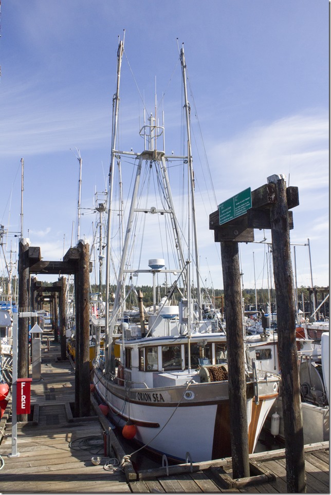Ladysmith,marine,fishboat,marina,fishing,ships,Ladysmith Marina,Orion Sea