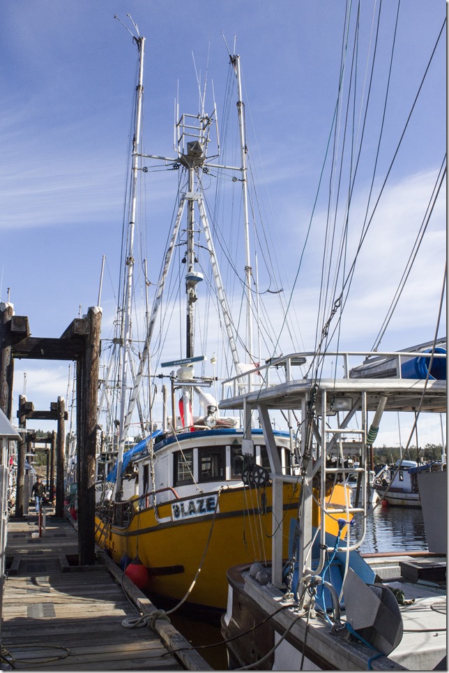 Ladysmith,marine,fishboat,marina,fishing,ships,Ladysmith Marina,Blaze