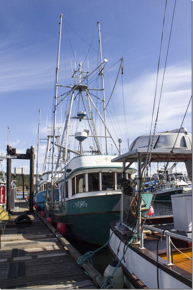 Ladysmith,marine,fishboat,marina,fishing,ships,Ladysmith Marina,Ny-Borg