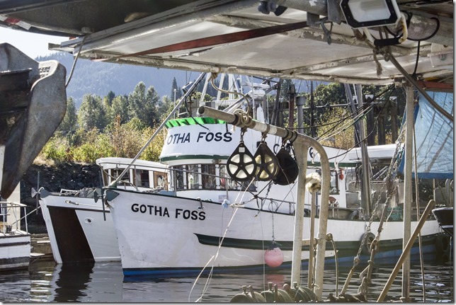 Ladysmith,marine,fishboat,marina,fishing,ships,Ladysmith Marina,Gotha Foss