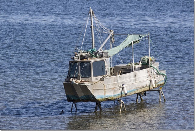Baynes Sound, Union Bay,fish boat,fall,beach,Denam Island