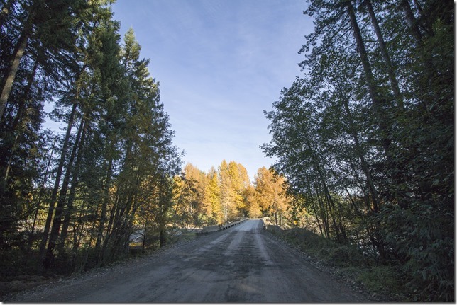Comox Lake,Comox Valley,fall,lake,water level,BC Hydro,nature,logging road,bridge,fall,leaves,Comox Lake Recreation Area