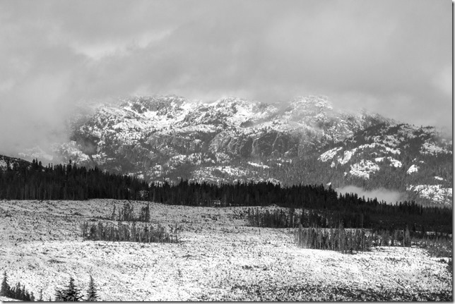 fall,snow,mountain,Mt Washington,nature,Vancouver Island,Strathcona Provincial Park,foresty,logging,clouds,Raven Lodge