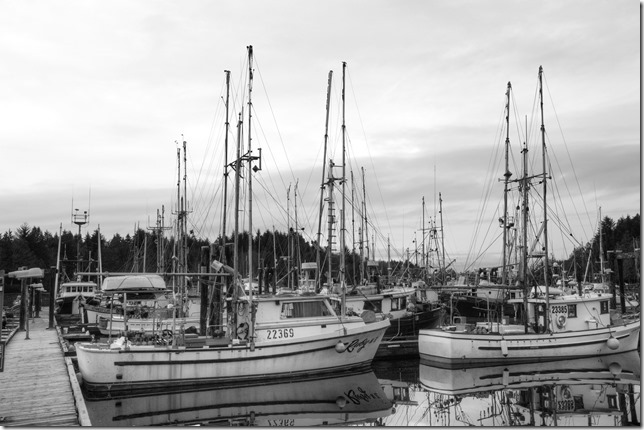 Ucluelet,ships,fishing boats,marina,Ruby N II,Contender 101