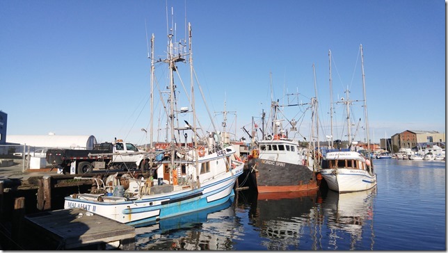 Victoria,Selkirk Waterway,marine,fishboat,marina,fishing,ships,Malahat II, Nordic Spirit, Ocean Princess