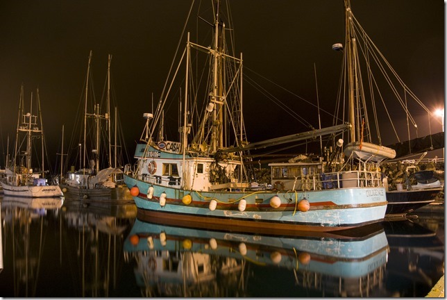 Courtenay Slough,marina,fish boat,spring,Diligence