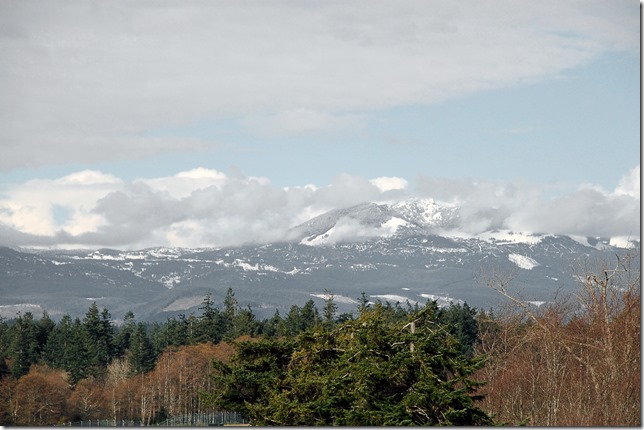 mountains,CFB Comox,Beaufort range,snow,nature,Comox Valley,runway,fall