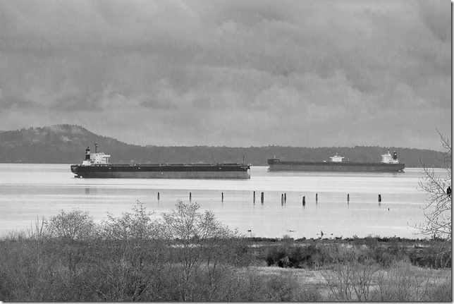 Cowichan Bay,nature,fall,marsh,Tzouhalem Road,Cowichan River, Cowichan river estuary,ships,clouds