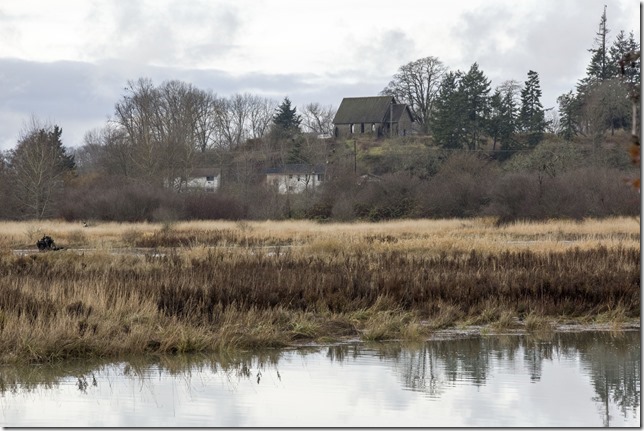 Cowichan Bay,nature,fall,marsh,Tzouhalem Road,Cowichan River, Cowichan river estuary,Stone Butter Church,history