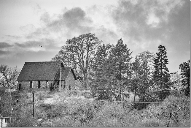 Cowichan Bay,nature,fall,marsh,Tzouhalem Road,Cowichan River, Cowichan river estuary,Stone Butter Church,history