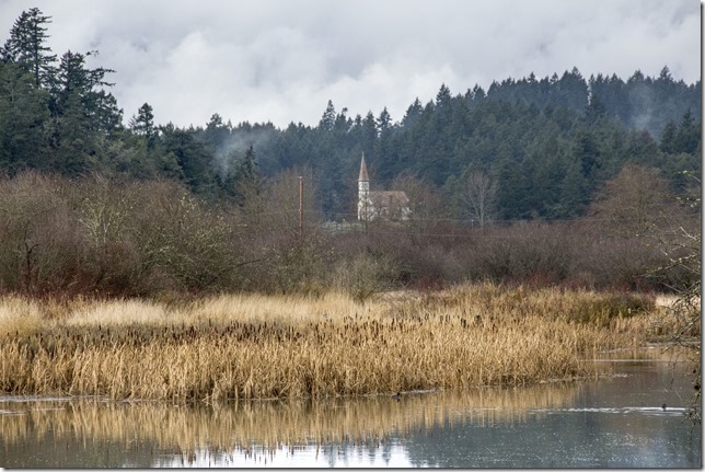 Cowichan Bay,nature,fall,marsh,Tzouhalem Road,Cowichan River, Cowichan river estuary,St Ann&rsquo;s Catholic Church