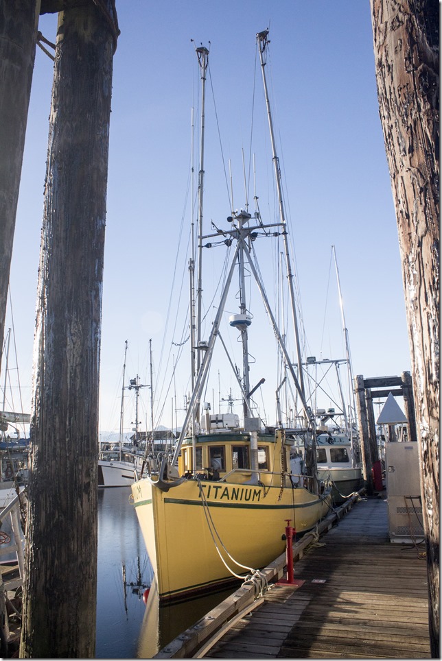 Comox,fisherman's wharf,marina,fish boat,spring