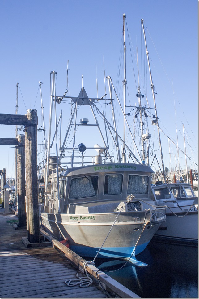 Comox,fisherman's wharf,marina,fish boat,fall,ice,moutains,Deep Bounty