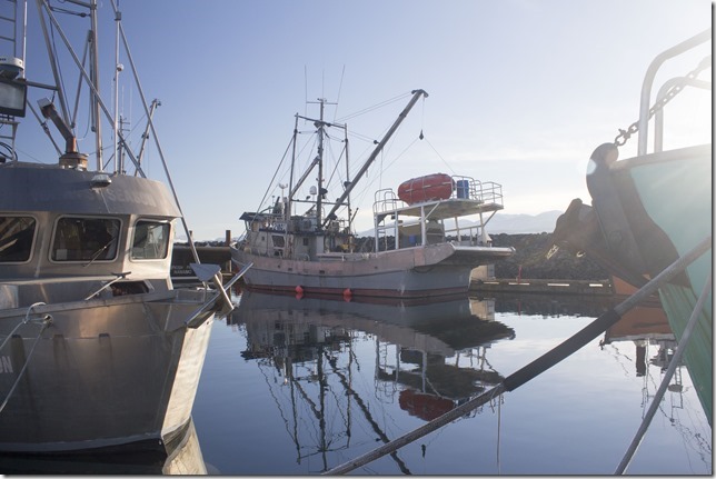 Comox,fisherman's wharf,marina,fish boat,fall,ice,moutains,Ocean Quest
