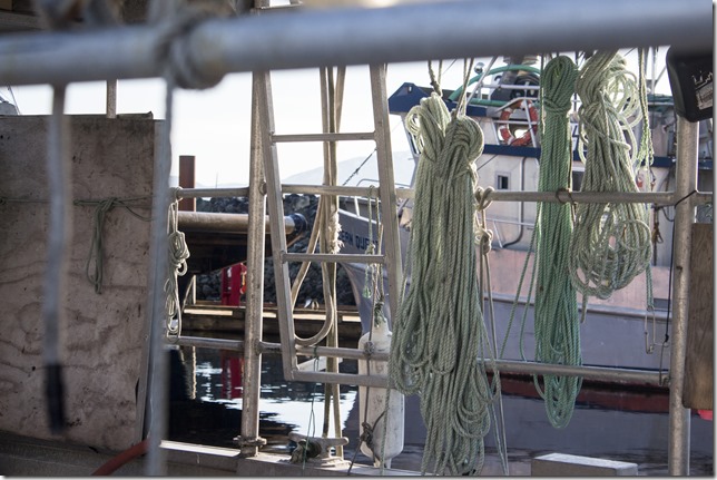 Comox,fisherman's wharf,marina,fish boat,fall,ice,photogrpahy,photojournalism
