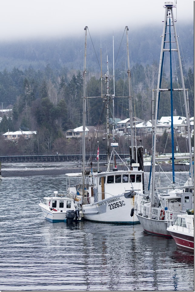 Crofton,fish boat,ocean,marina,winter,Prince Of Denmark