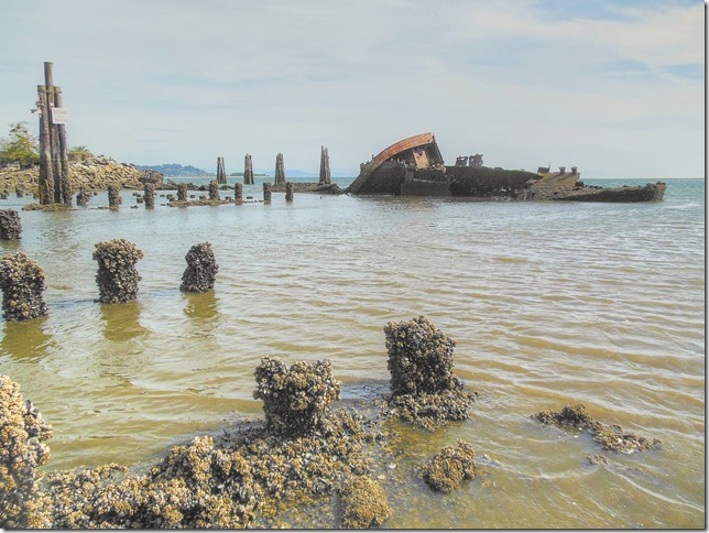 ships,hulks,Royston,history,Royston Wrecks,Baynes Sound,Georgia Strait,Salish Sea,ocean,pilings,barnacles