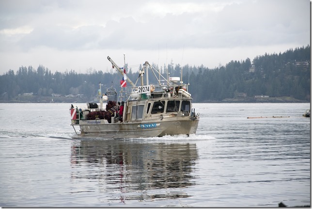 marina,fishboat,marina,fishing,ships,Campbell River,North Island,Discovery Passage