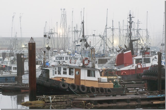 Port Alberni,marina,history,ships,winter,Highway 4,tug,tug boat