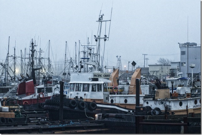 Port Alberni,marina,history,ships,winter,Highway 4,tug,tug boat,winter