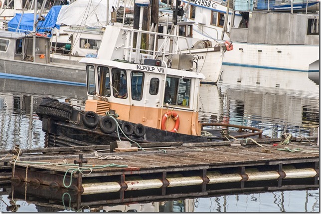 Port Alberni,ships,tug,tug boats,ALPULP VII