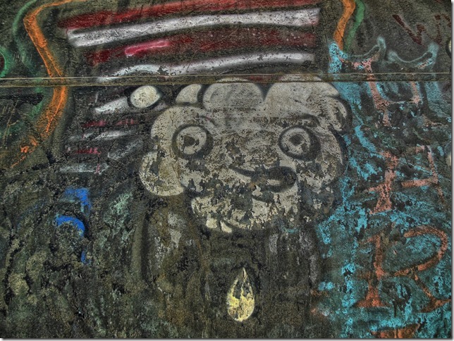 graffiti,Puntledge penstock pipeline,Comox Valley