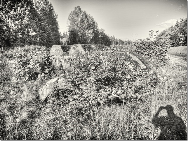 Puntledge penstock pipeline,BC Hydro,history,Comox Valley,hydroelectric power