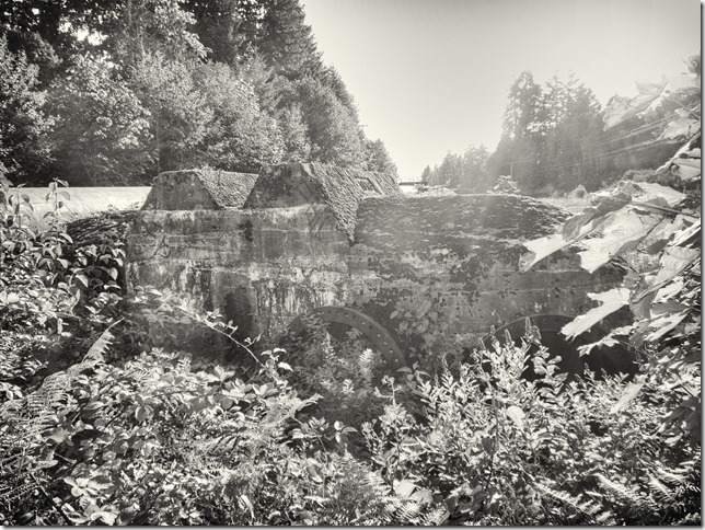 Puntledge penstock pipeline,BC Hydro,history,Comox Valley,hydroelectric power