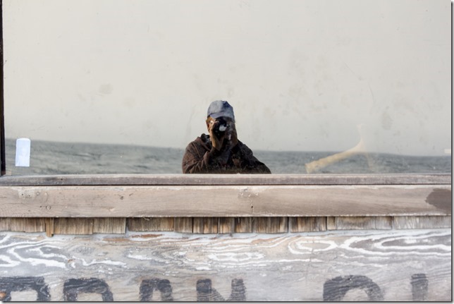 reflections,photgraphy,self portraits,Jordan River