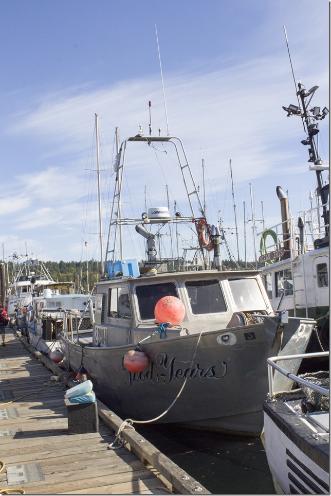 Ladysmith,marine,fishboat,marina,fishing,ships,Ladysmith Marina