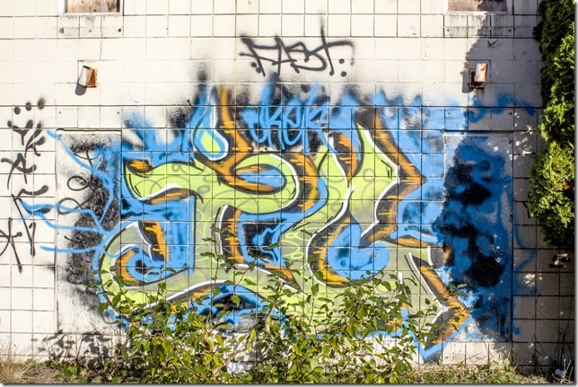 Duncan,Highway 1,history,abandonded,buildings,graffiti,art