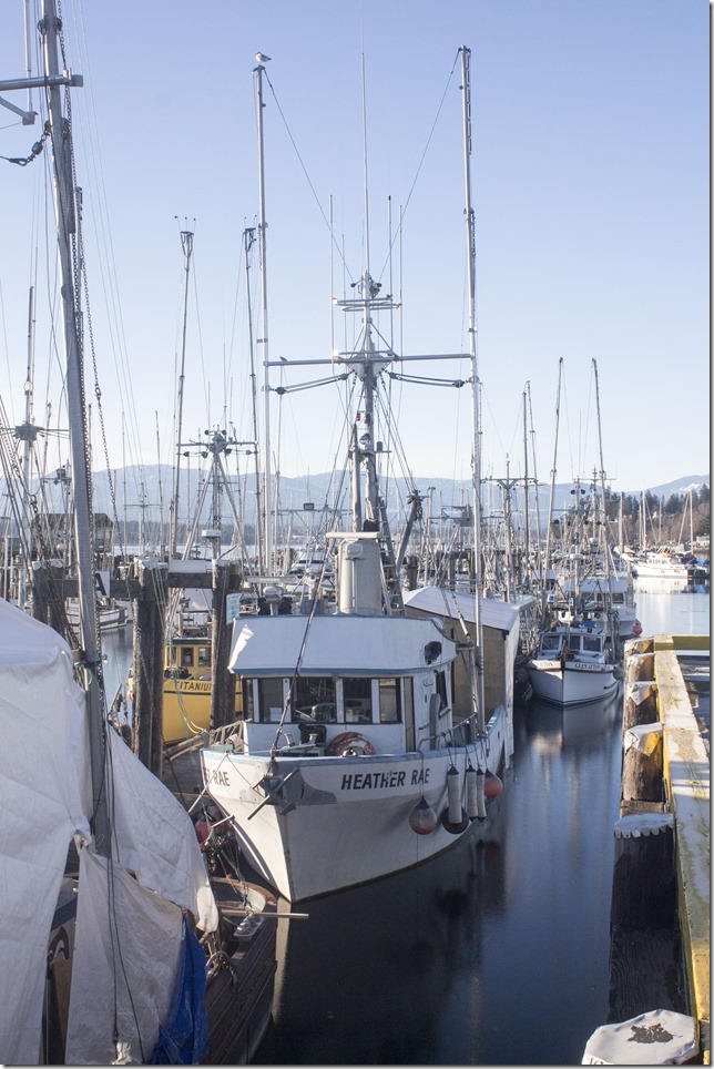 Comox,fisherman's wharf,marina,fish boat,winter