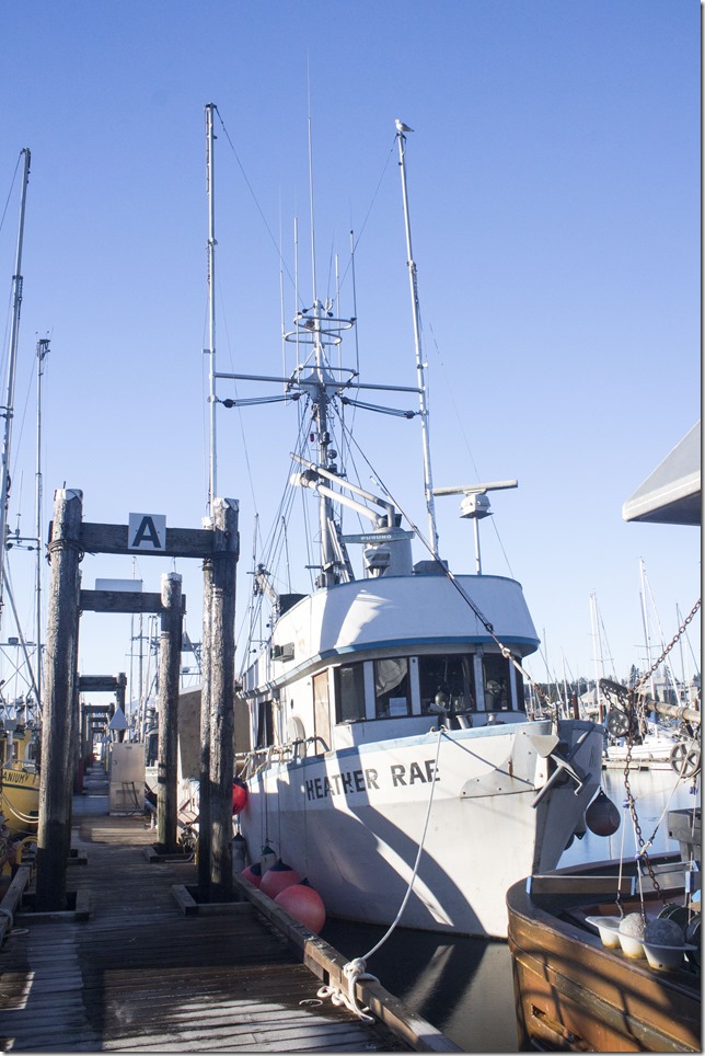 Comox,fisherman's wharf,marina,fish boat,winter